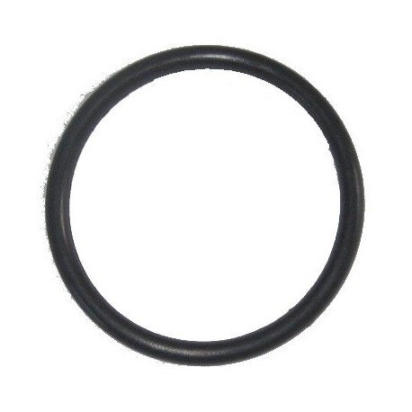 O-ring  for pre-filter Emaux™ SB series﻿﻿.