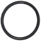 Hayward Super II Strainer lid O-ring