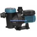 Silen I.  0.33CV pompe
