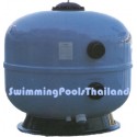 Sandia sand filter. Side Mount  2.5"