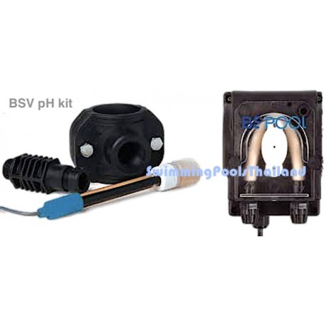 bsv-pH