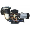 Emaux APS pump
