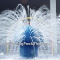 Water Hedgehog