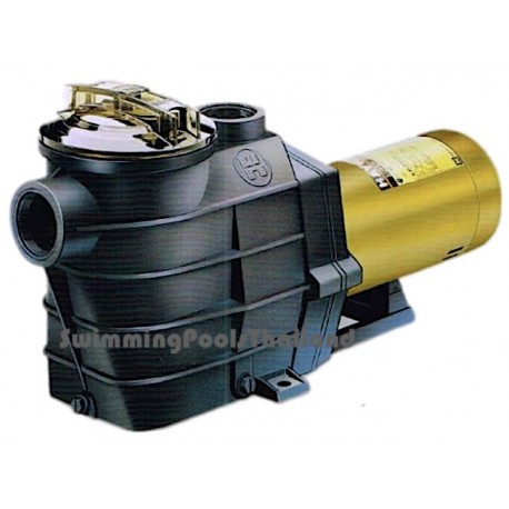 Hayward™  'Super II' pumps. 1HP to 3HP