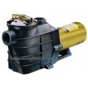 Hayward™  'Super II' pumps. 1HP to 3HP