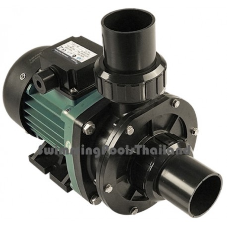 Emaux™ ST series ½HP to 1HP for spas and hot  tubs.
