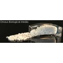 Biological media