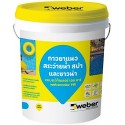 Weber Tile grout for pools