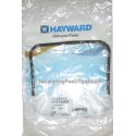 Hayward Super Strainer lid﻿ gasket