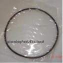 O- ring for Lid for SANDIA side mount filters