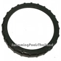 SC Series pump body retaining ring