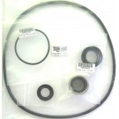 Emaux AFS pump service kit