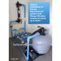 Emaux FSF Series pump+filter combo