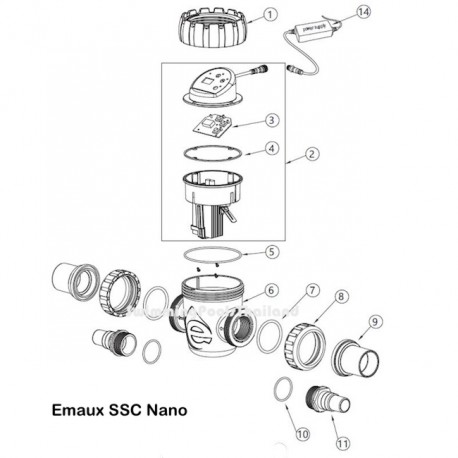SSC-nano4 cell SSC-nano4 cell