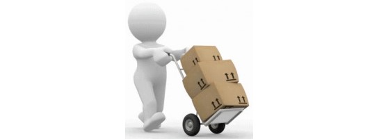 Livraison avec démonstration et la mise en service