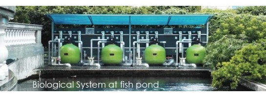 Fischteichfilter und Aquakultur Systeme