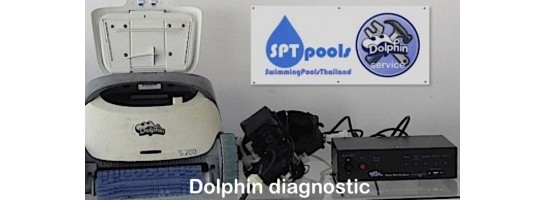 Dolphin robot services
