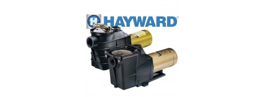 Hayward Pumpen ud Teile